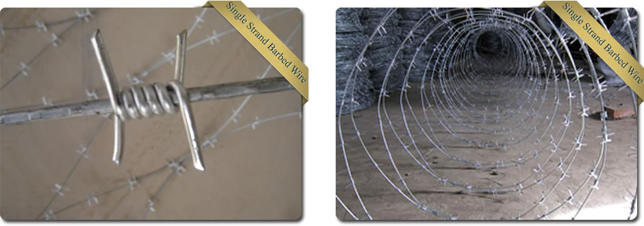 Single Strand Barbed Wire