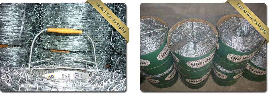 Barbed Wire