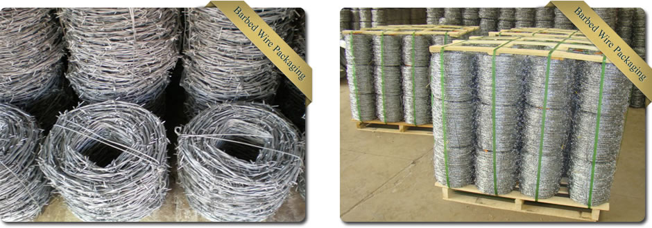 Barbed Wire