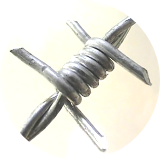Barbed Wire